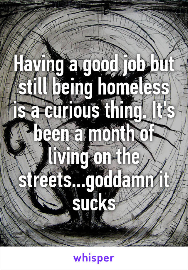 Having a good job but still being homeless is a curious thing. It's been a month of living on the streets...goddamn it sucks