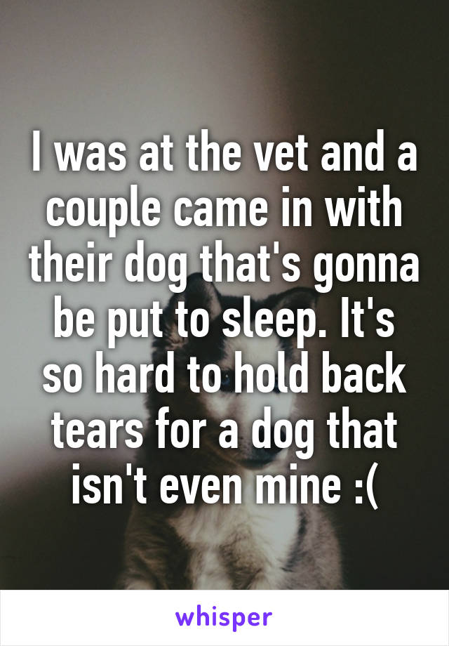 I was at the vet and a couple came in with their dog that's gonna be put to sleep. It's so hard to hold back tears for a dog that isn't even mine :(