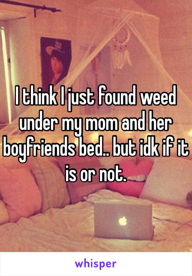 I think I just found weed under my mom and her boyfriends bed.. but idk if it is or not. 