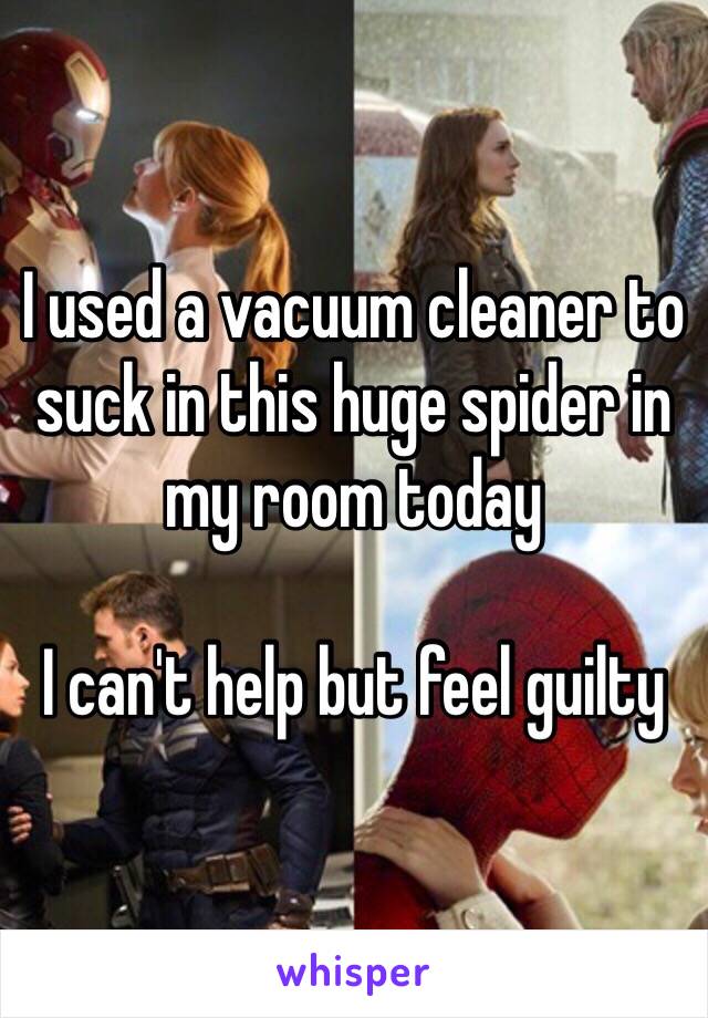 I used a vacuum cleaner to suck in this huge spider in my room today

I can't help but feel guilty