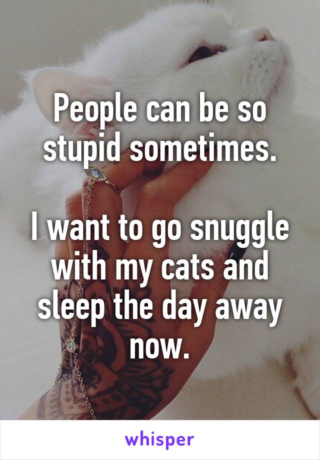 People can be so stupid sometimes.

I want to go snuggle with my cats and sleep the day away now.