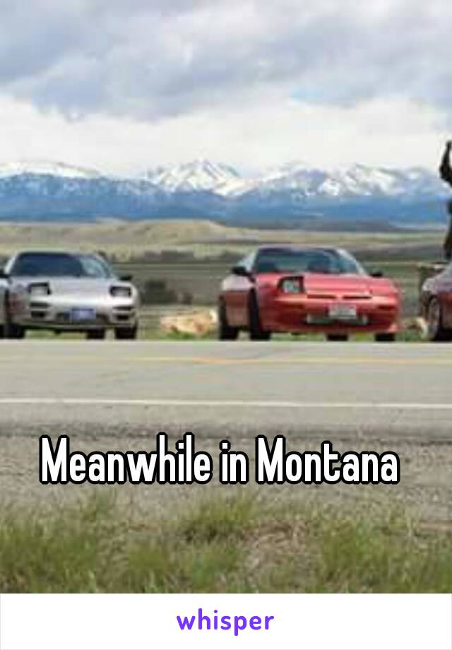 Meanwhile in Montana