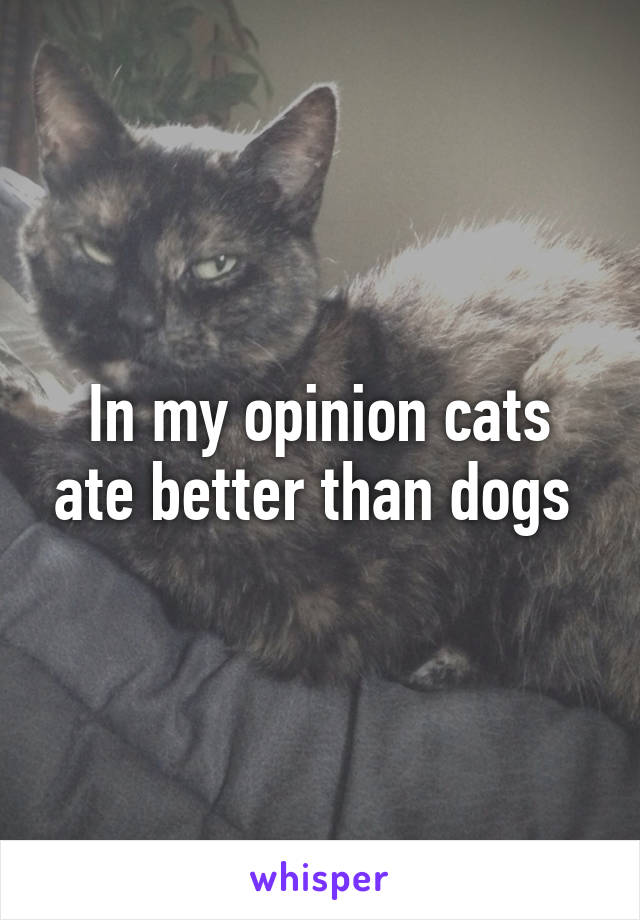 In my opinion cats ate better than dogs 