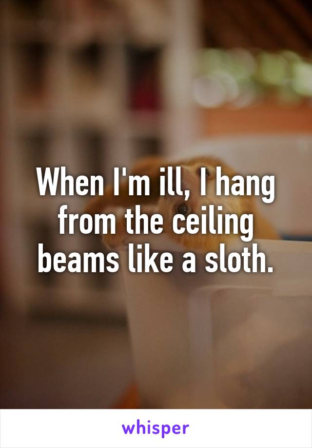 When I'm ill, I hang from the ceiling beams like a sloth.