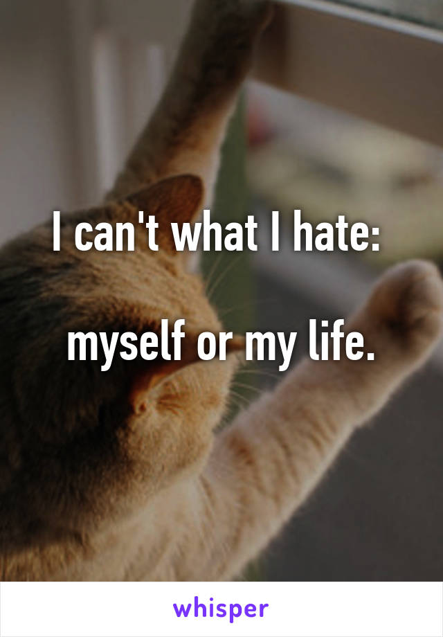 I can't what I hate: 

myself or my life.
