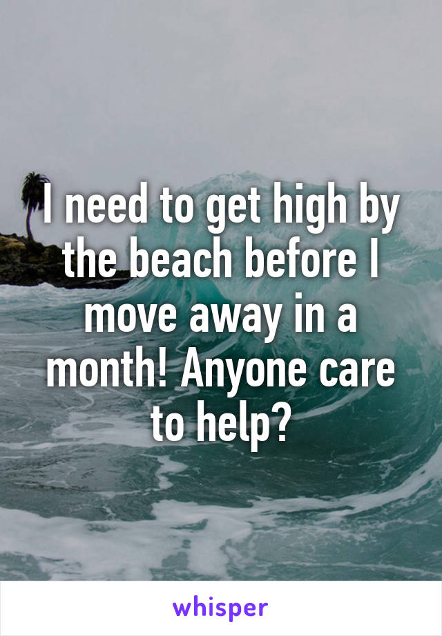 I need to get high by the beach before I move away in a month! Anyone care to help?