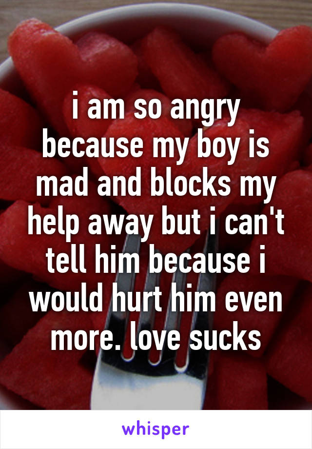 i am so angry because my boy is mad and blocks my help away but i can't tell him because i would hurt him even more. love sucks