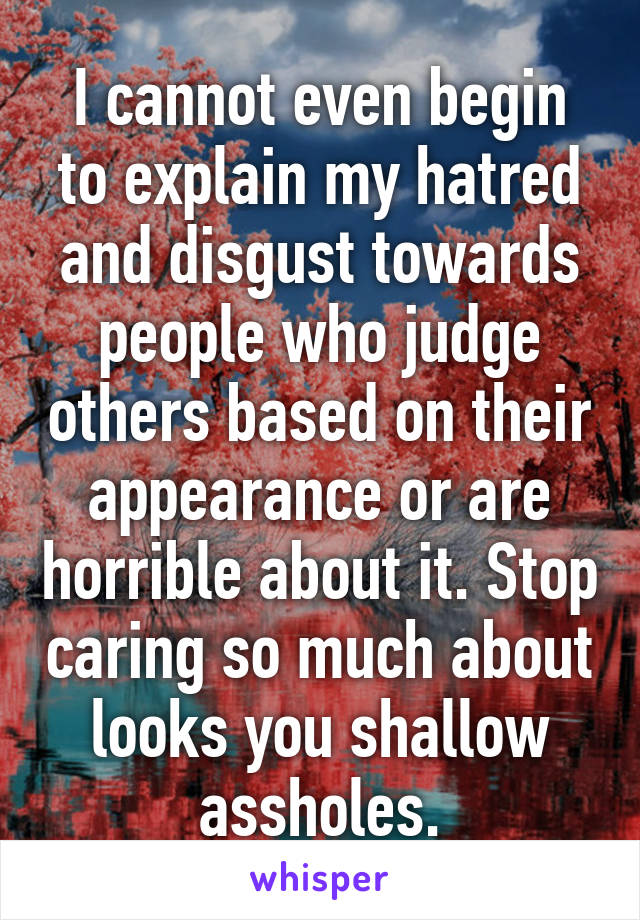 I cannot even begin to explain my hatred and disgust towards people who judge others based on their appearance or are horrible about it. Stop caring so much about looks you shallow assholes.