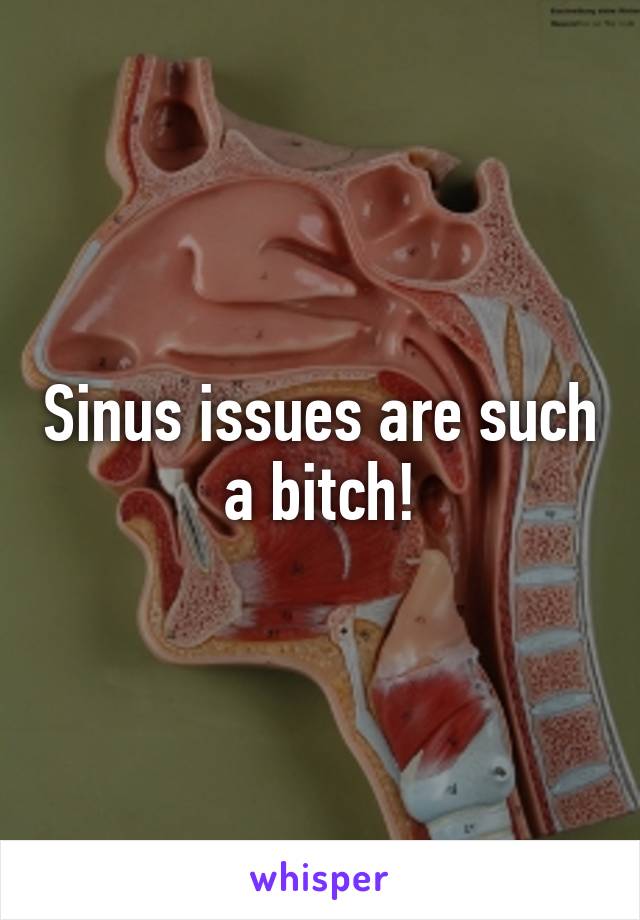 Sinus issues are such a bitch!