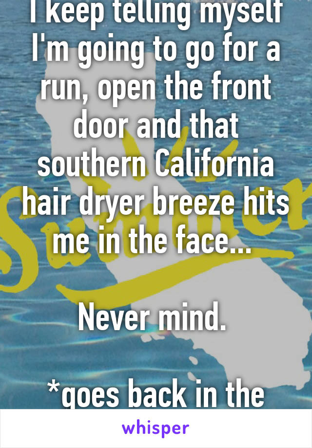 I keep telling myself I'm going to go for a run, open the front door and that southern California hair dryer breeze hits me in the face... 

Never mind. 

*goes back in the AC*