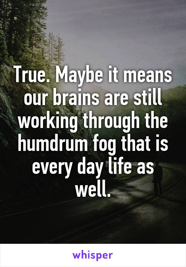 True. Maybe it means our brains are still working through the humdrum fog that is every day life as well.