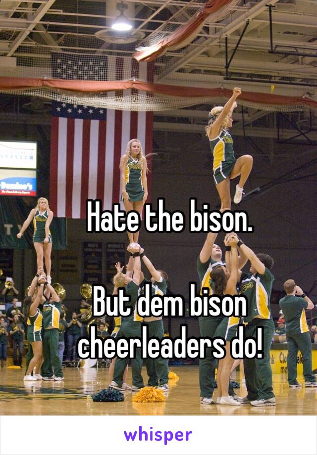 Hate the bison. 

But dem bison cheerleaders do!