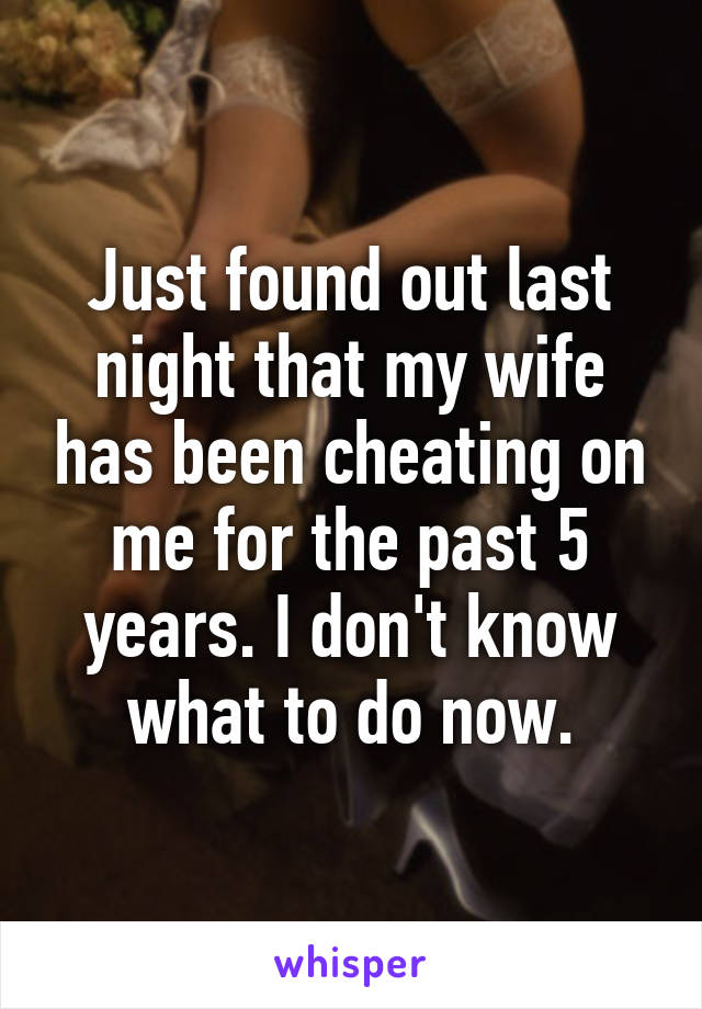 Just found out last night that my wife has been cheating on me for the past 5 years. I don't know what to do now.