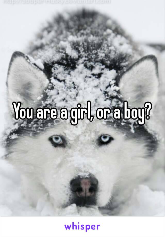 You are a girl, or a boy?