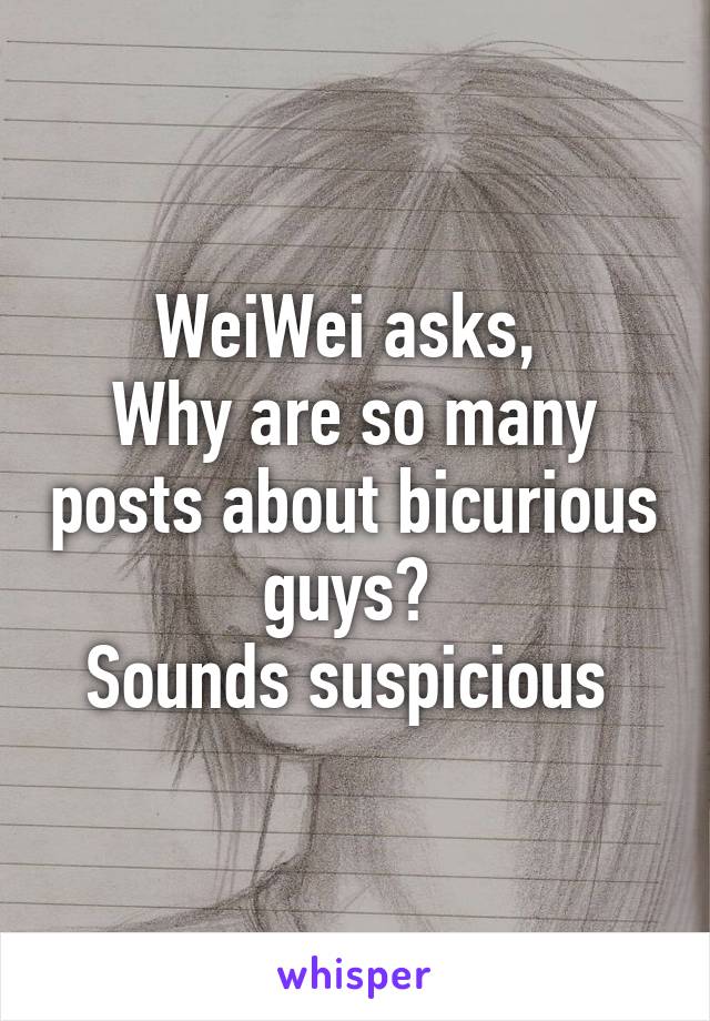 WeiWei asks, 
Why are so many posts about bicurious guys? 
Sounds suspicious 