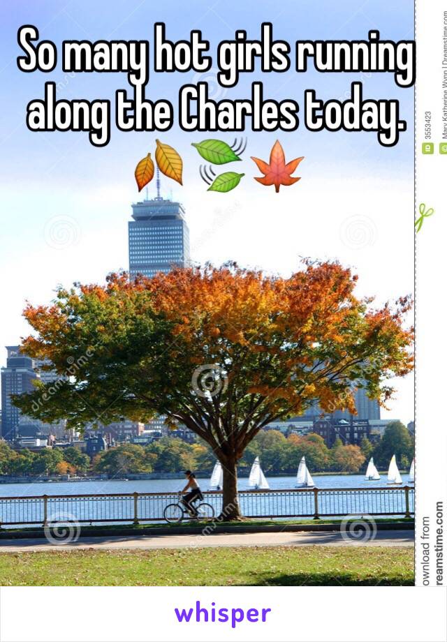 So many hot girls running along the Charles today. 🍂🍃🍁