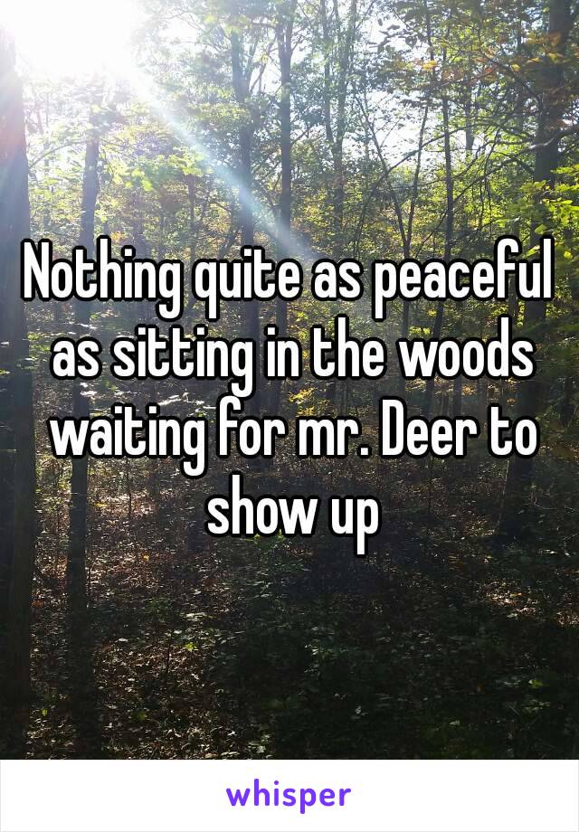 Nothing quite as peaceful as sitting in the woods waiting for mr. Deer to show up