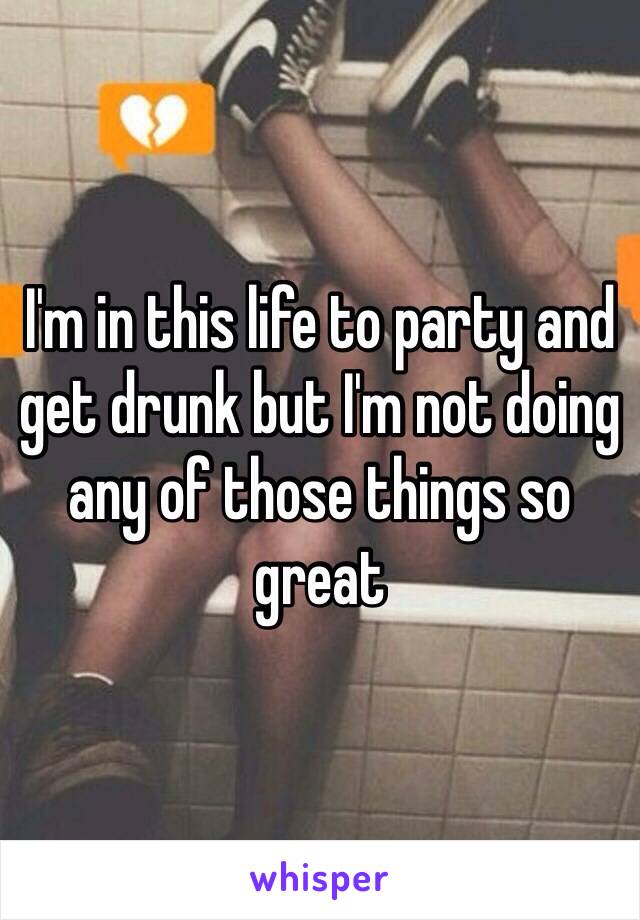 I'm in this life to party and get drunk but I'm not doing any of those things so great 