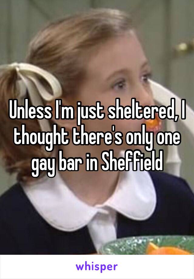 Unless I'm just sheltered, I thought there's only one gay bar in Sheffield 