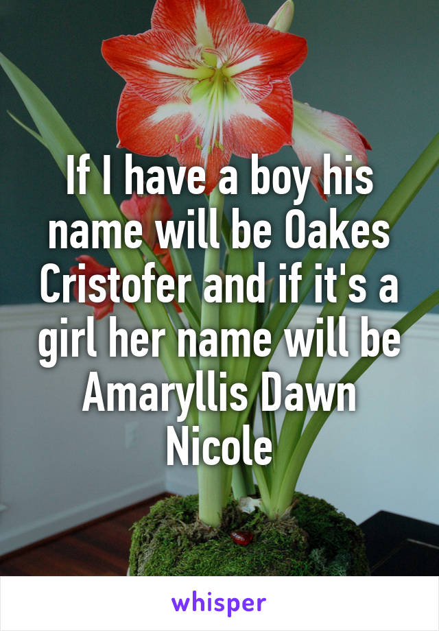 If I have a boy his name will be Oakes Cristofer and if it's a girl her name will be Amaryllis Dawn Nicole