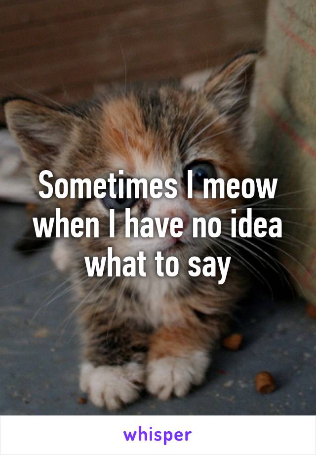 Sometimes I meow when I have no idea what to say