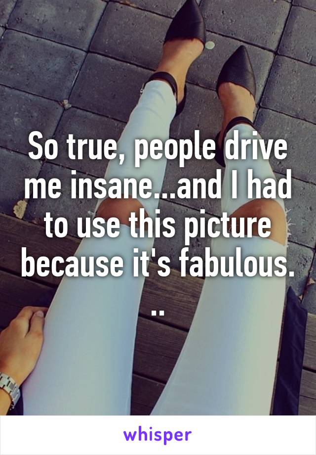 So true, people drive me insane...and I had to use this picture because it's fabulous. ..