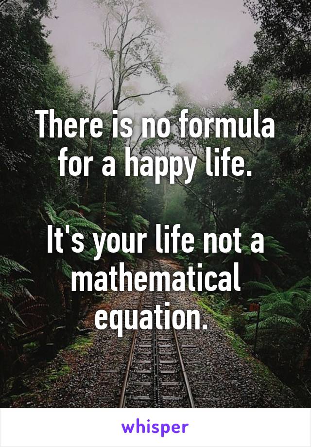 There is no formula for a happy life.

It's your life not a mathematical equation. 