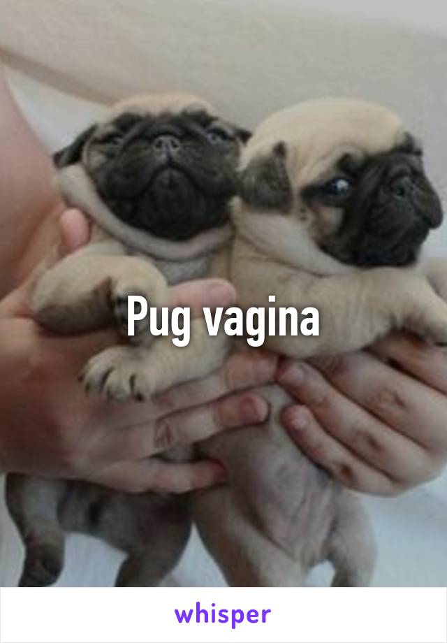 Pug vagina