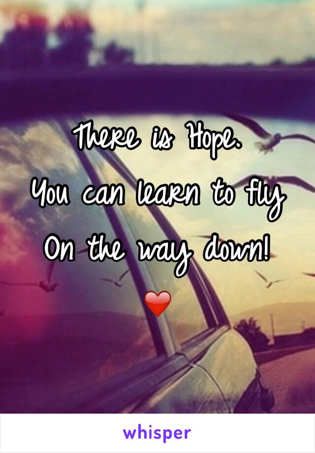 There is Hope. 
You can learn to fly
On the way down! 
❤️