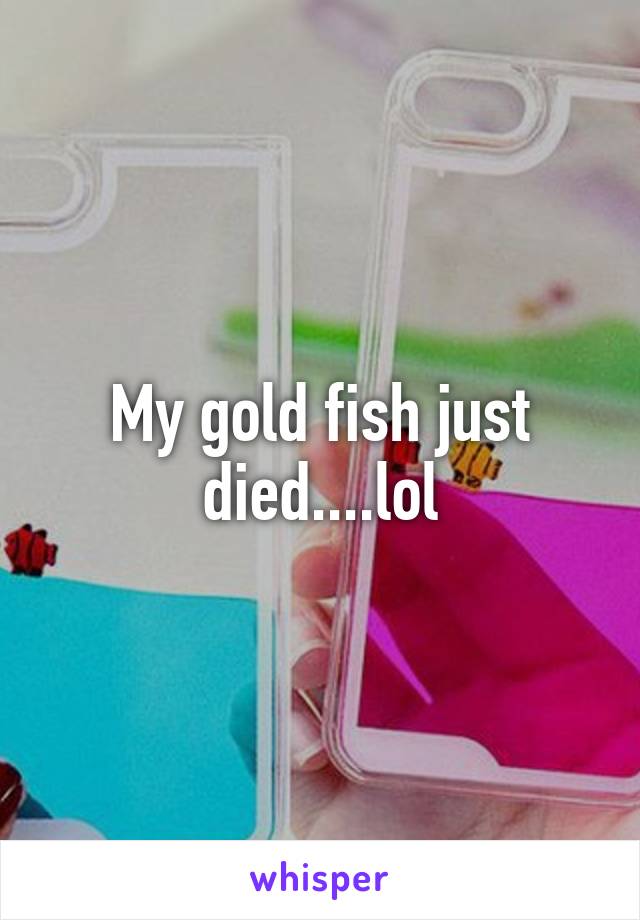 My gold fish just died....lol