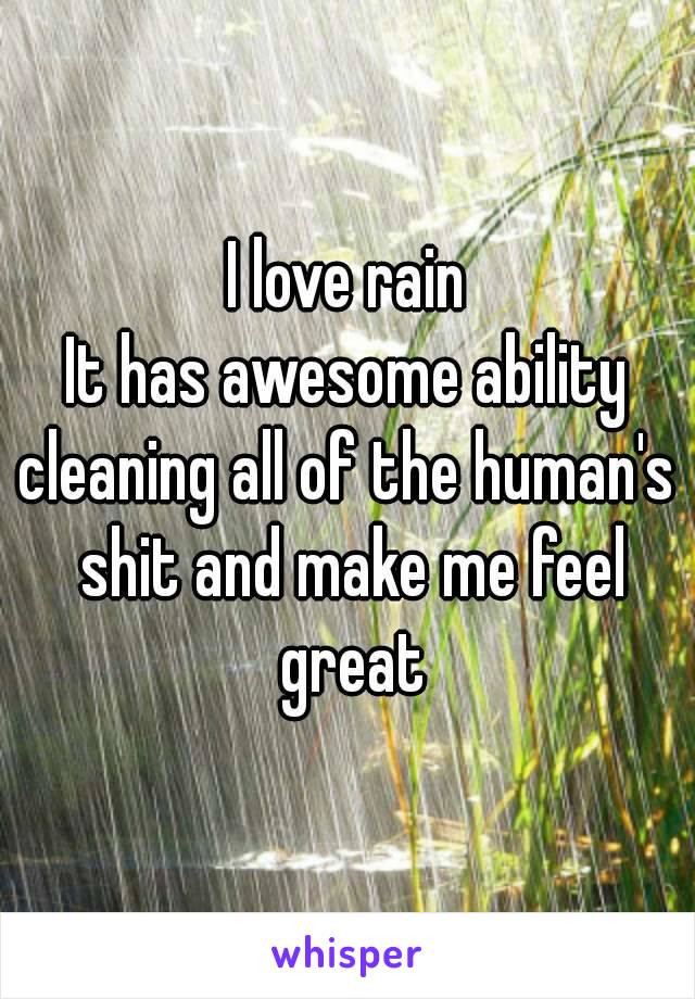 I love rain
It has awesome ability
cleaning all of the human's shit and make me feel great