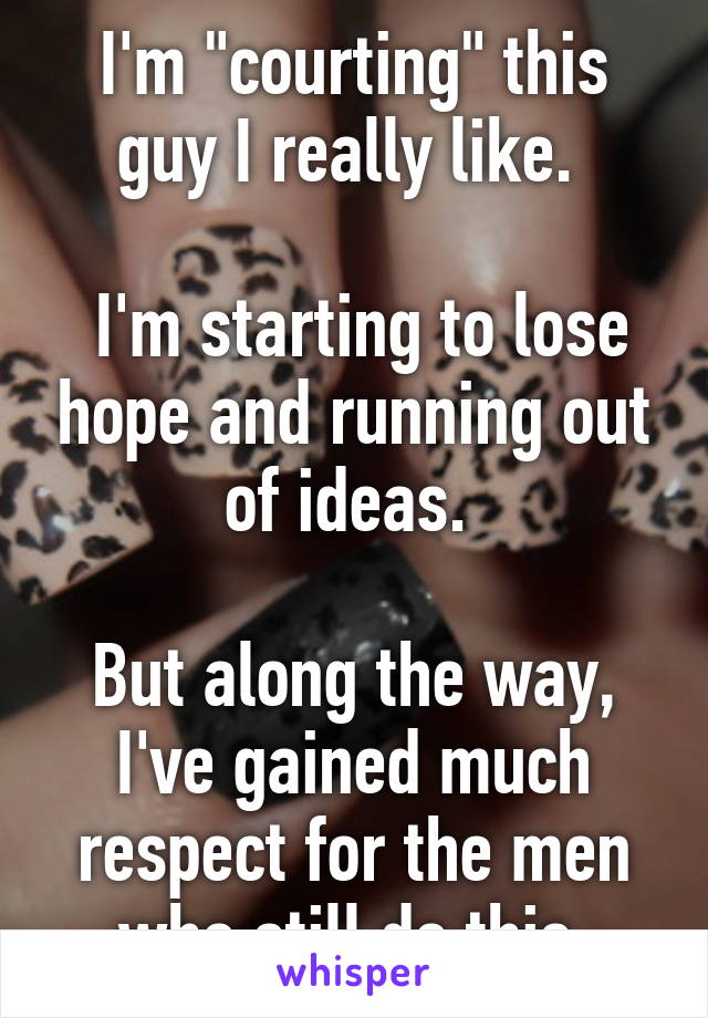 I'm "courting" this guy I really like. 

 I'm starting to lose hope and running out of ideas. 

But along the way, I've gained much respect for the men who still do this.