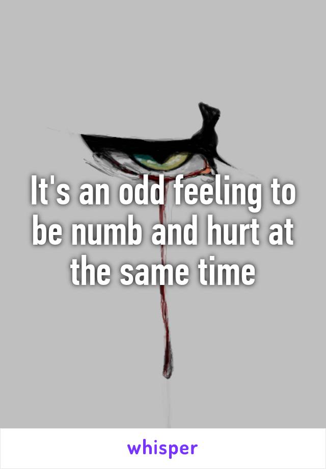 It's an odd feeling to be numb and hurt at the same time