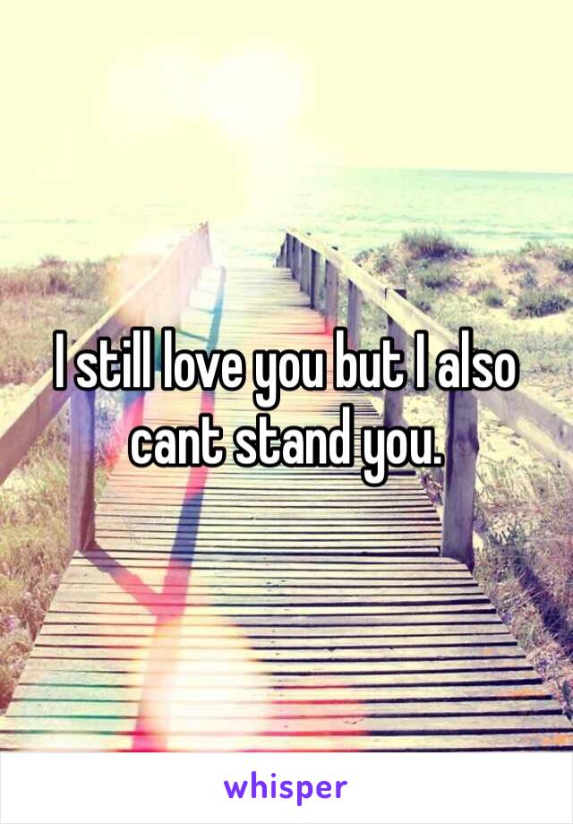 I still love you but I also cant stand you. 