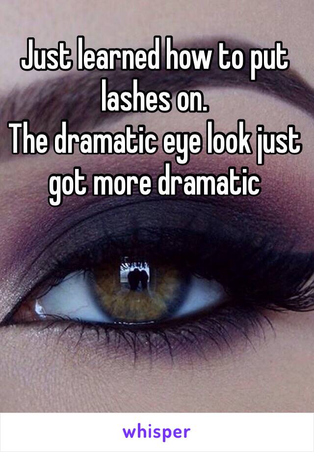 Just learned how to put lashes on. 
The dramatic eye look just got more dramatic 