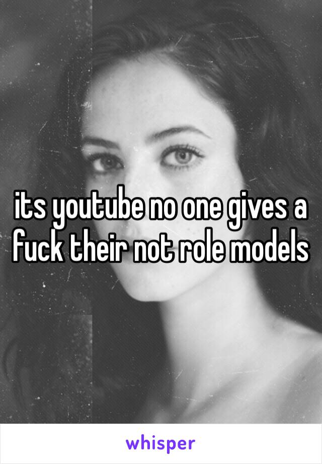 its youtube no one gives a fuck their not role models