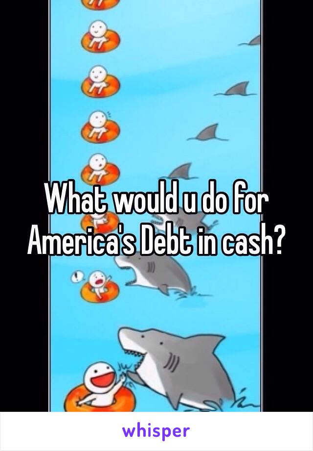 What would u do for America's Debt in cash?