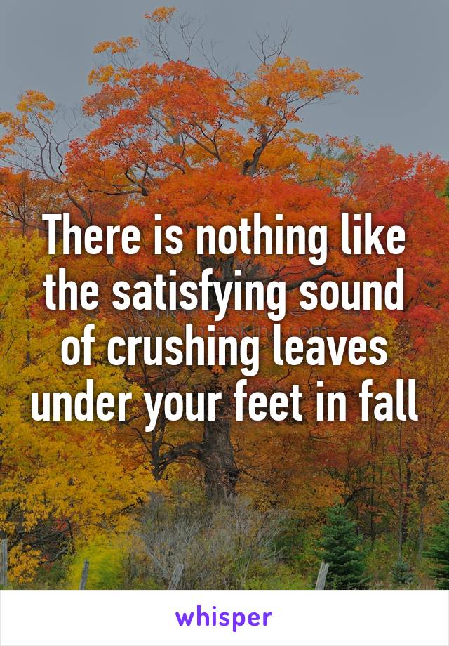 There is nothing like the satisfying sound of crushing leaves under your feet in fall