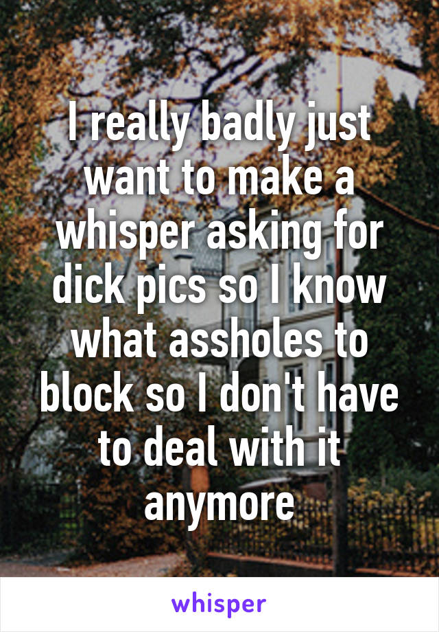 I really badly just want to make a whisper asking for dick pics so I know what assholes to block so I don't have to deal with it anymore