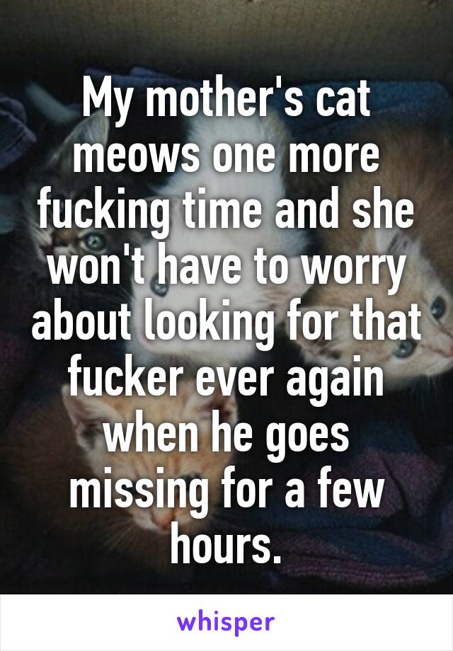 My mother's cat meows one more fucking time and she won't have to worry about looking for that fucker ever again when he goes missing for a few hours.