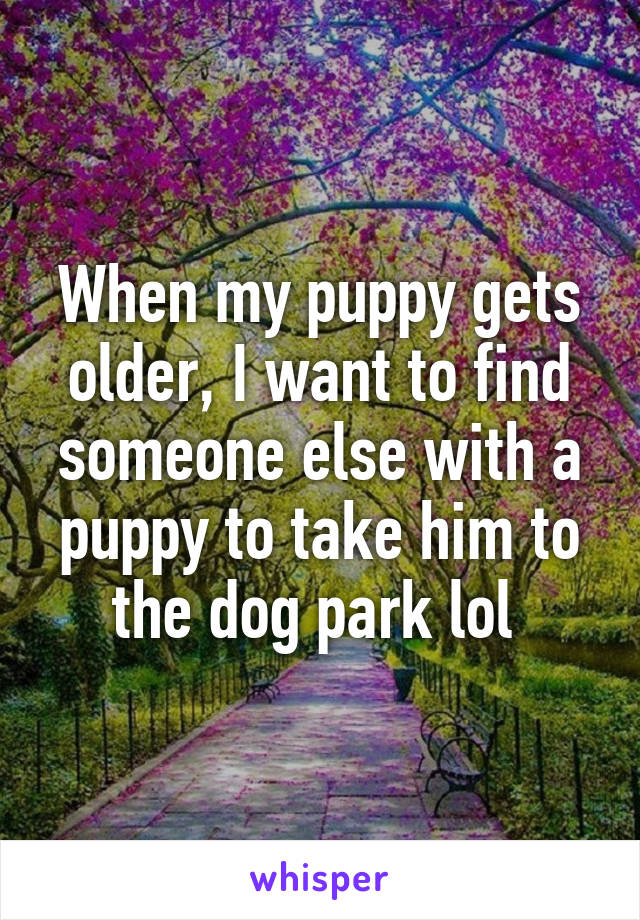 When my puppy gets older, I want to find someone else with a puppy to take him to the dog park lol 