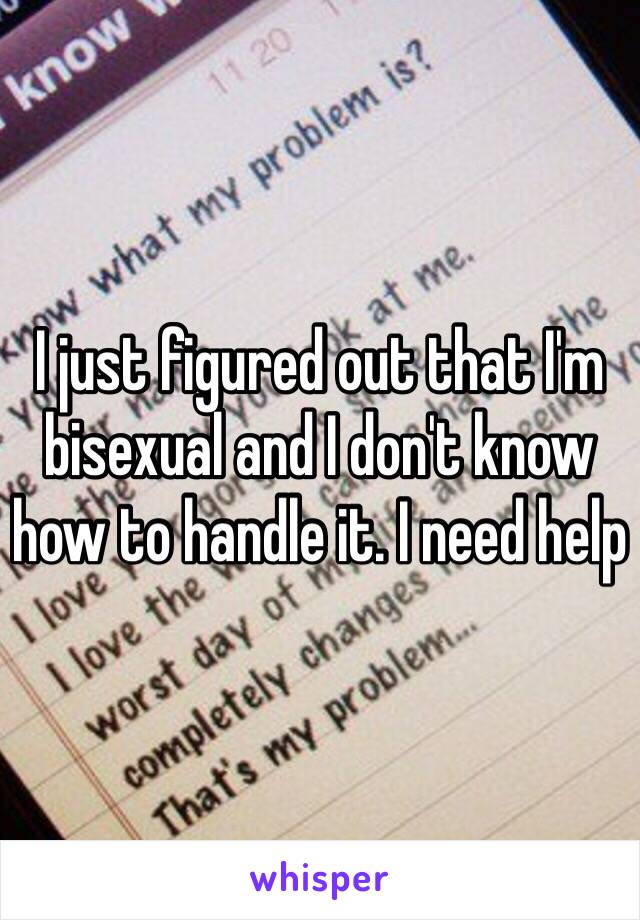 I just figured out that I'm bisexual and I don't know how to handle it. I need help 