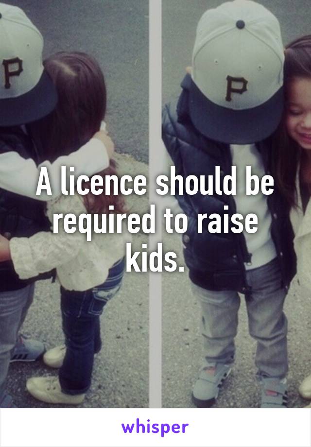 A licence should be required to raise kids.