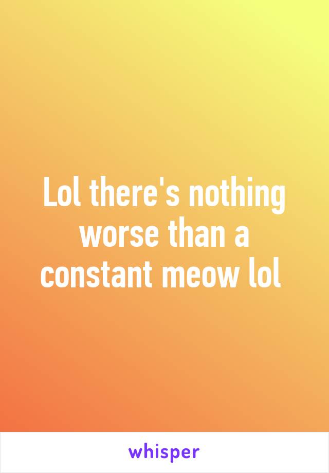 Lol there's nothing worse than a constant meow lol 