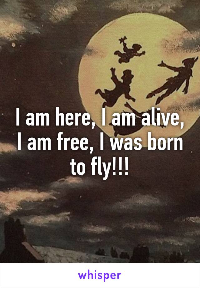 I am here, I am alive, I am free, I was born to fly!!!