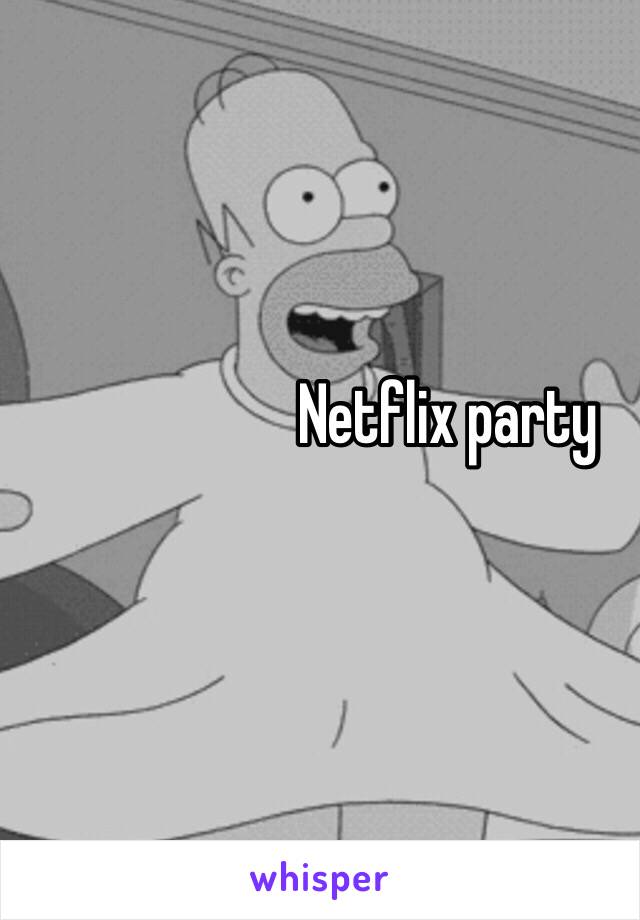 Netflix party