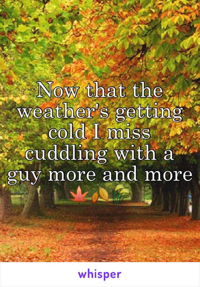 Now that the weather's getting cold I miss cuddling with a guy more and more 🍁🍂🌾