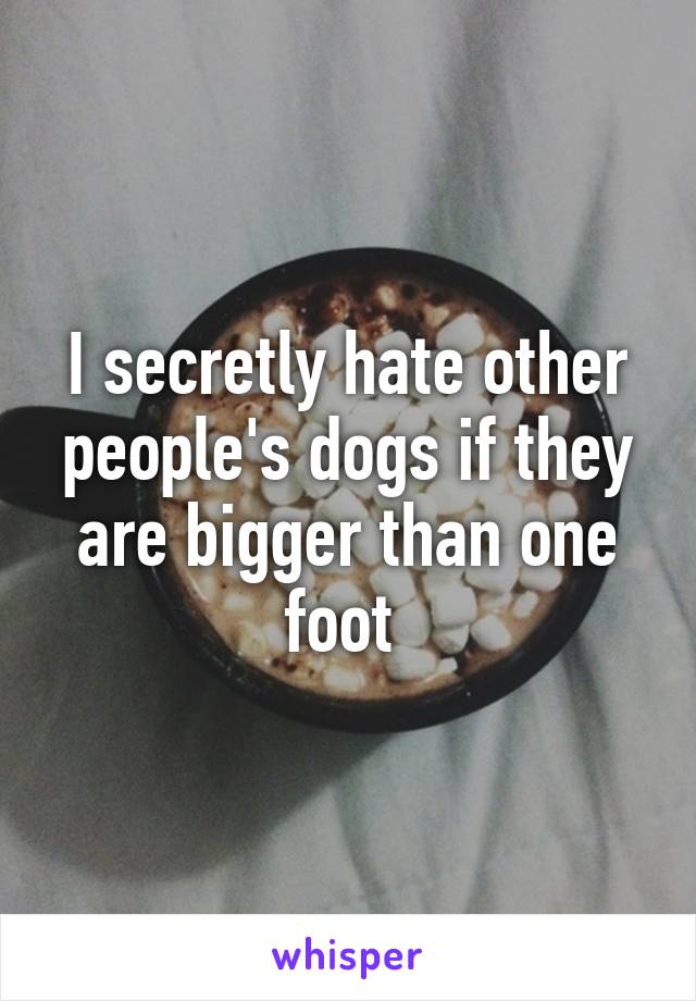 I secretly hate other people's dogs if they are bigger than one foot 