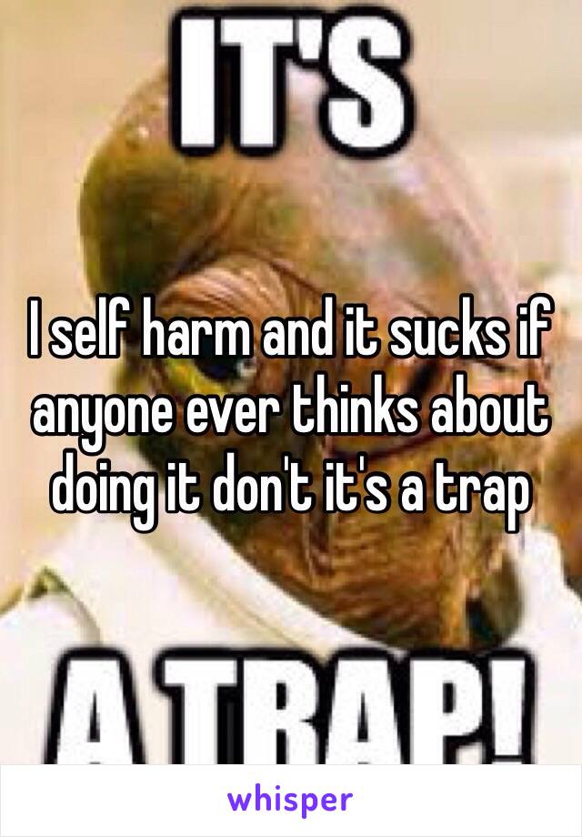 I self harm and it sucks if anyone ever thinks about doing it don't it's a trap 