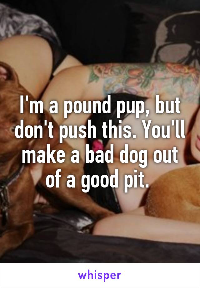 I'm a pound pup, but don't push this. You'll make a bad dog out of a good pit. 